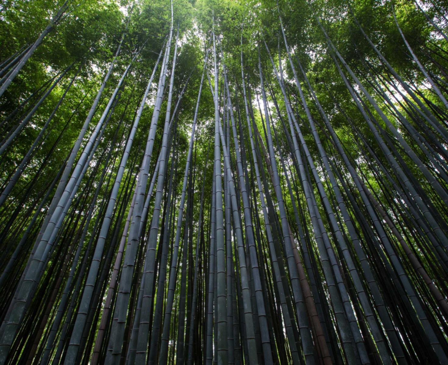 怎么可以注册新学籍账号