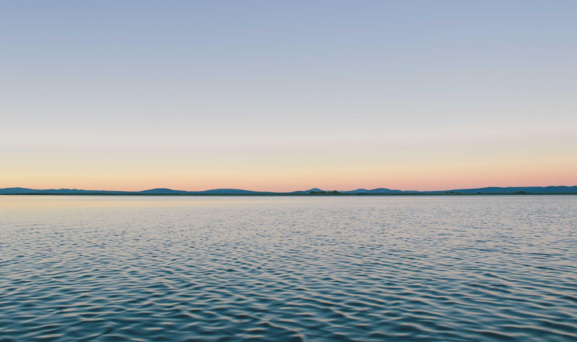 steam游戏：购买期货软件账号忘记