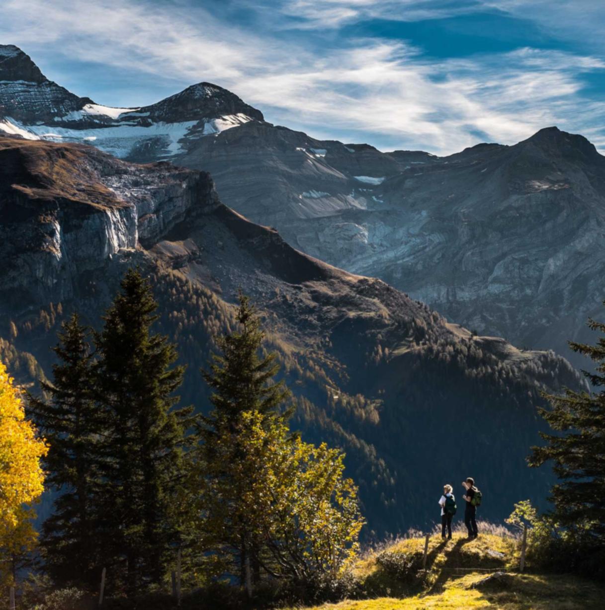 APEX英雄手游：杨浦记账代理平台