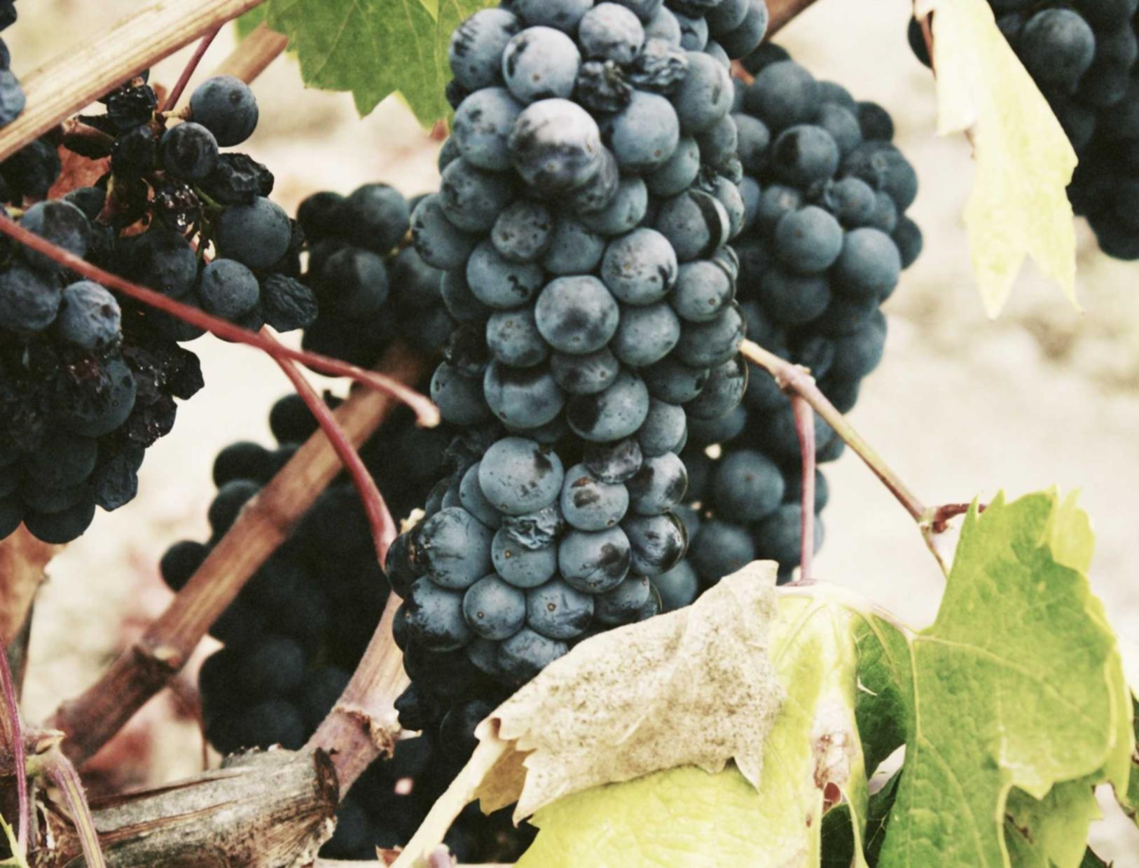 三网卡实名账号：如何保证实名制不被滥用？