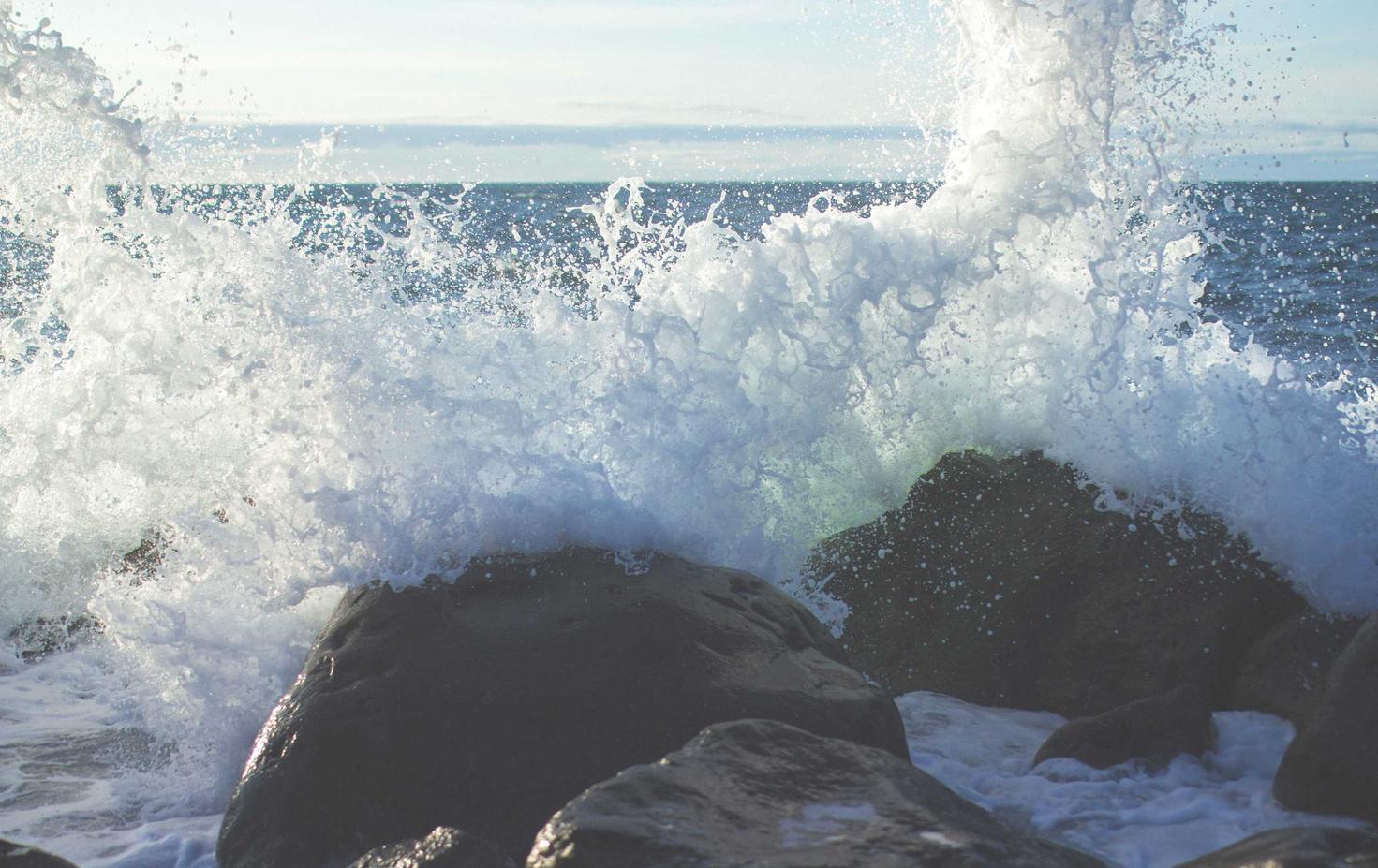 摩根公司交的社保怎么注册账号