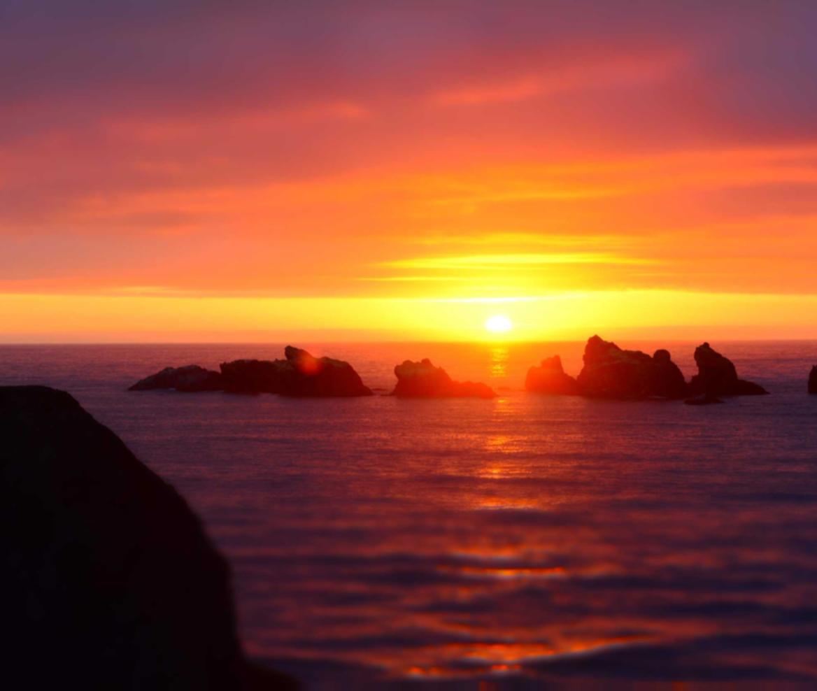 摩臣4福清代理注册