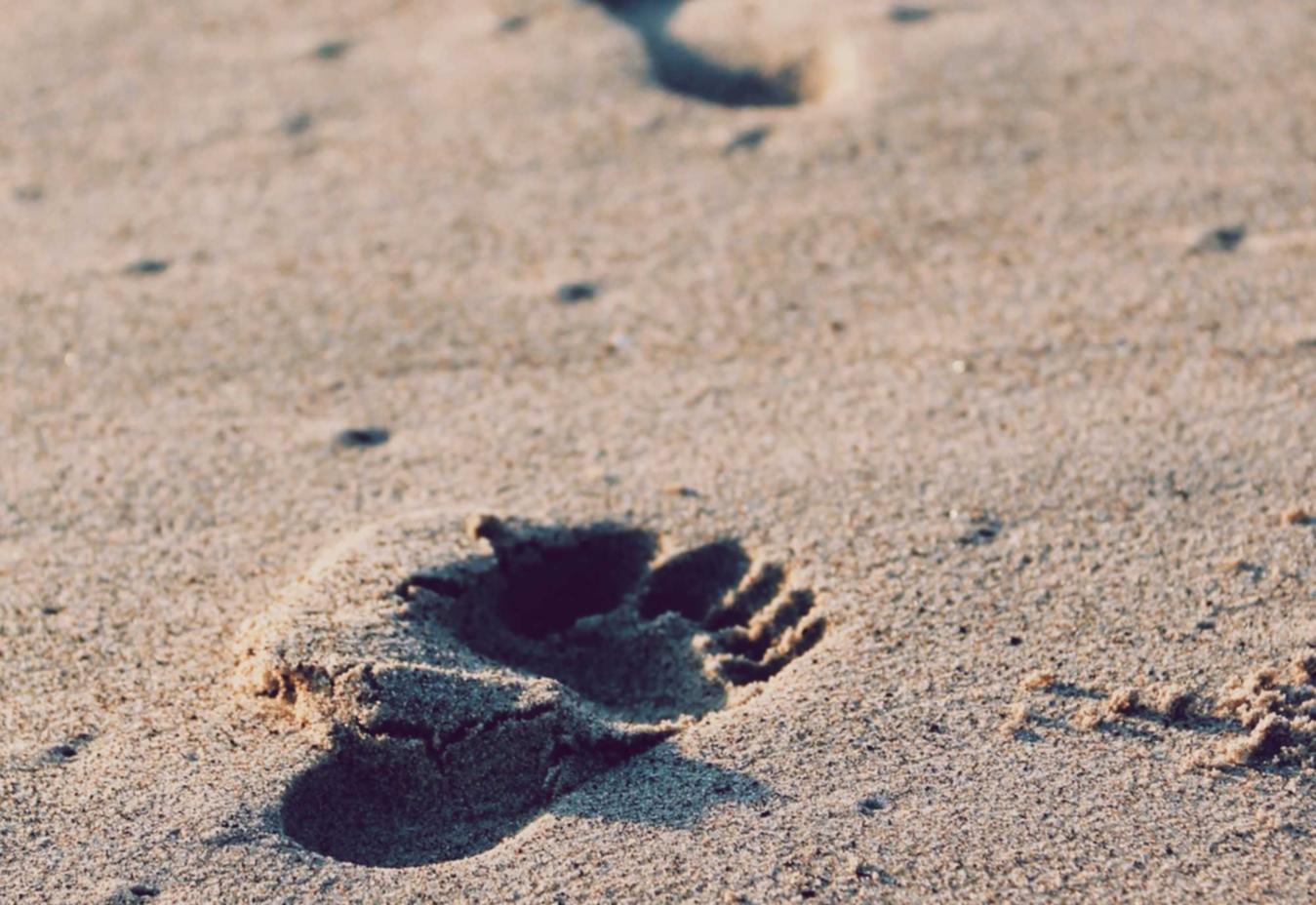 解读DDOSntp攻击- 魅族商城官网app详情下载教程