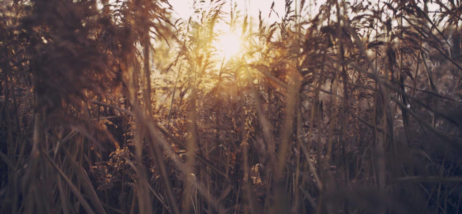 微信小号买卖:梦三国官网游戏详情下载教程app