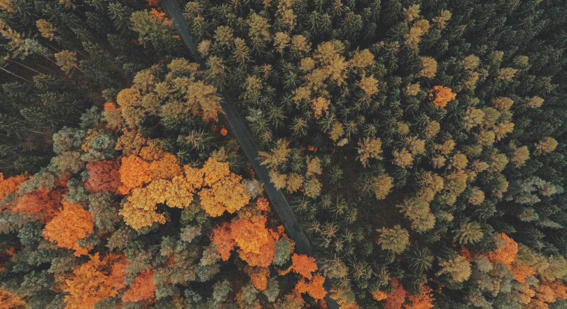 免费DDOS攻击平台|网购平台会知道购买人吗