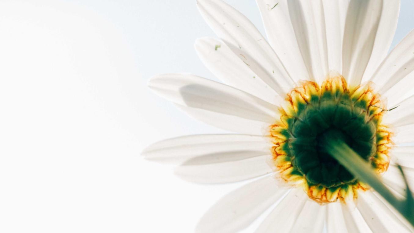 美团实名账号：实名账号对于网络支付安全的意义