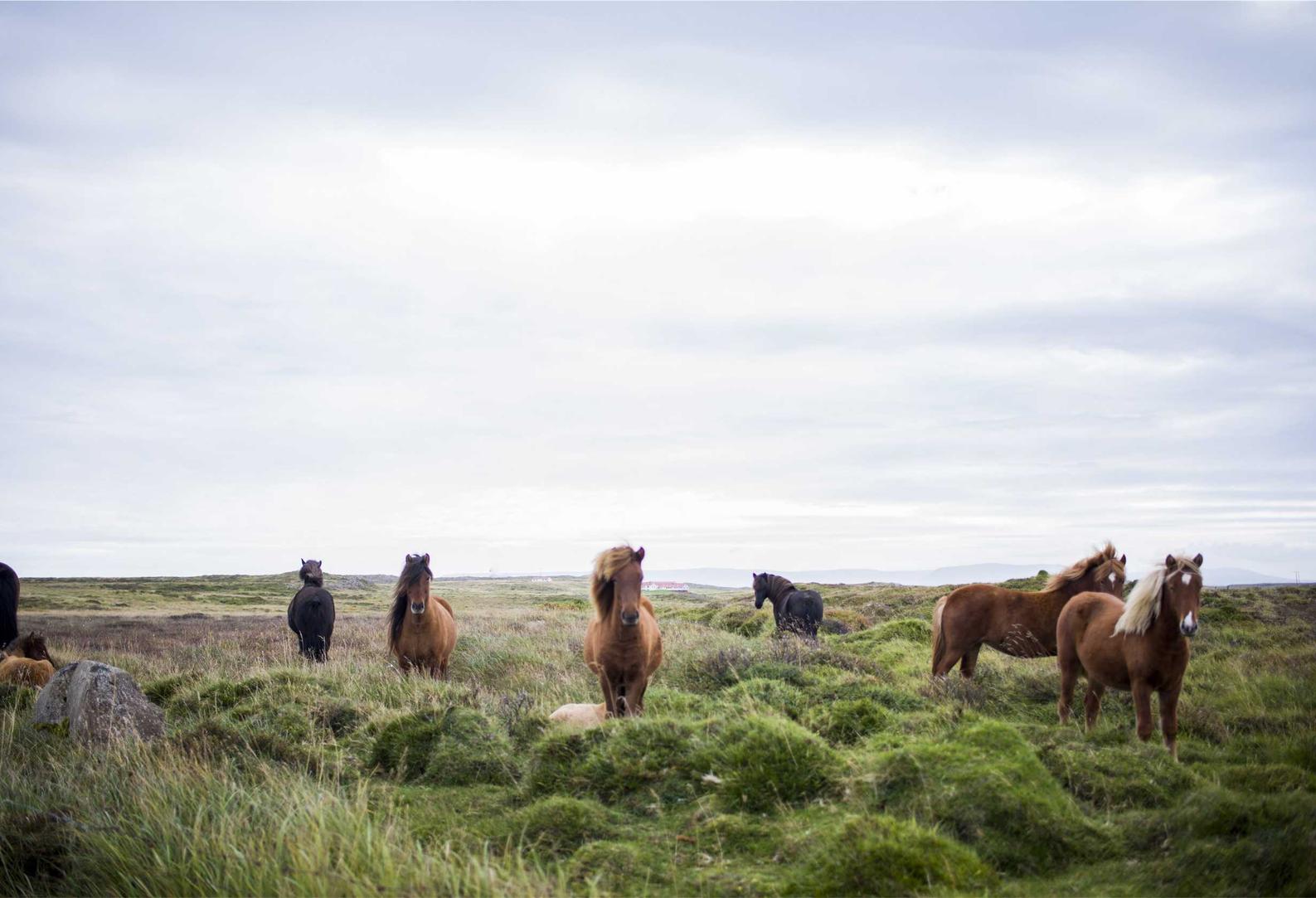 临沂本地商标注册代理公司