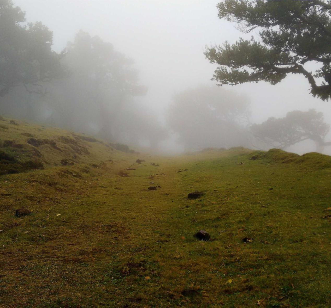 DDOS网页端源码|开户就送钱的团队竞技平台