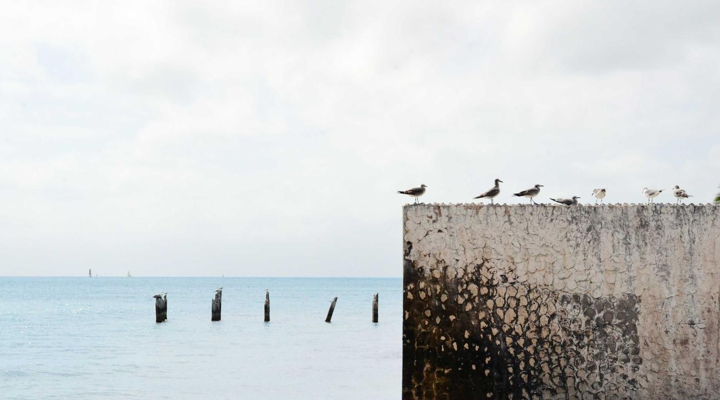 衡天云实名账号：广东代理注册公司方案报价