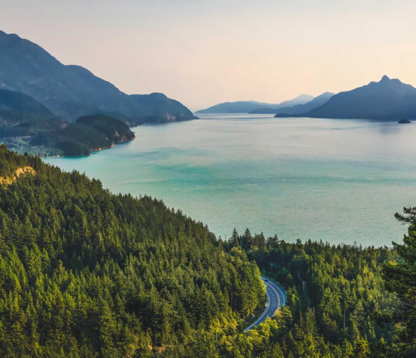 物联网卡买卖:山东油泥铣削平台代理商