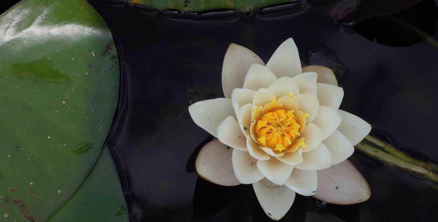 免费DDOS攻击平台|欧亚国际平台客服开户要求