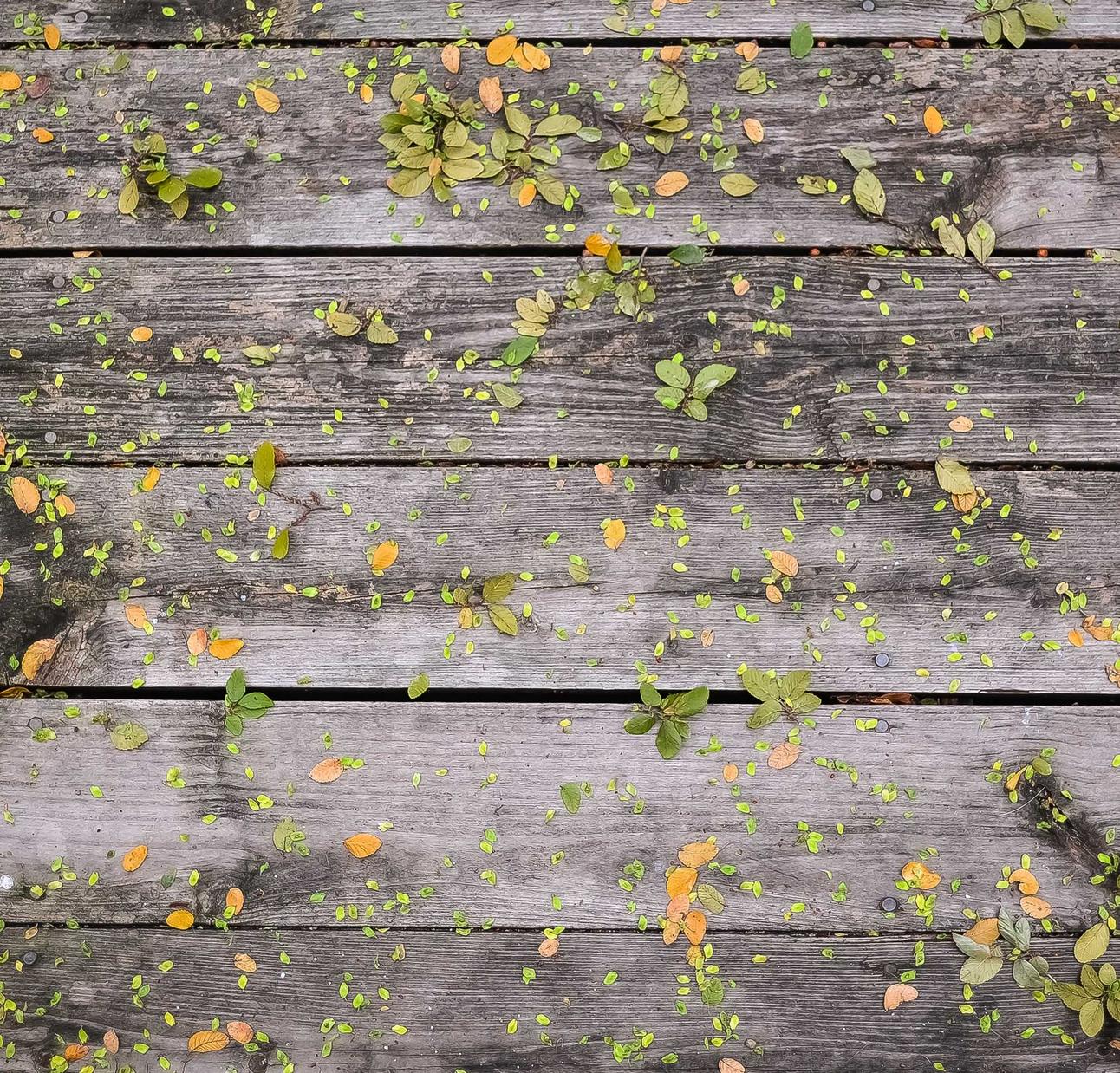 贴吧实名账号：代理注册青岛公