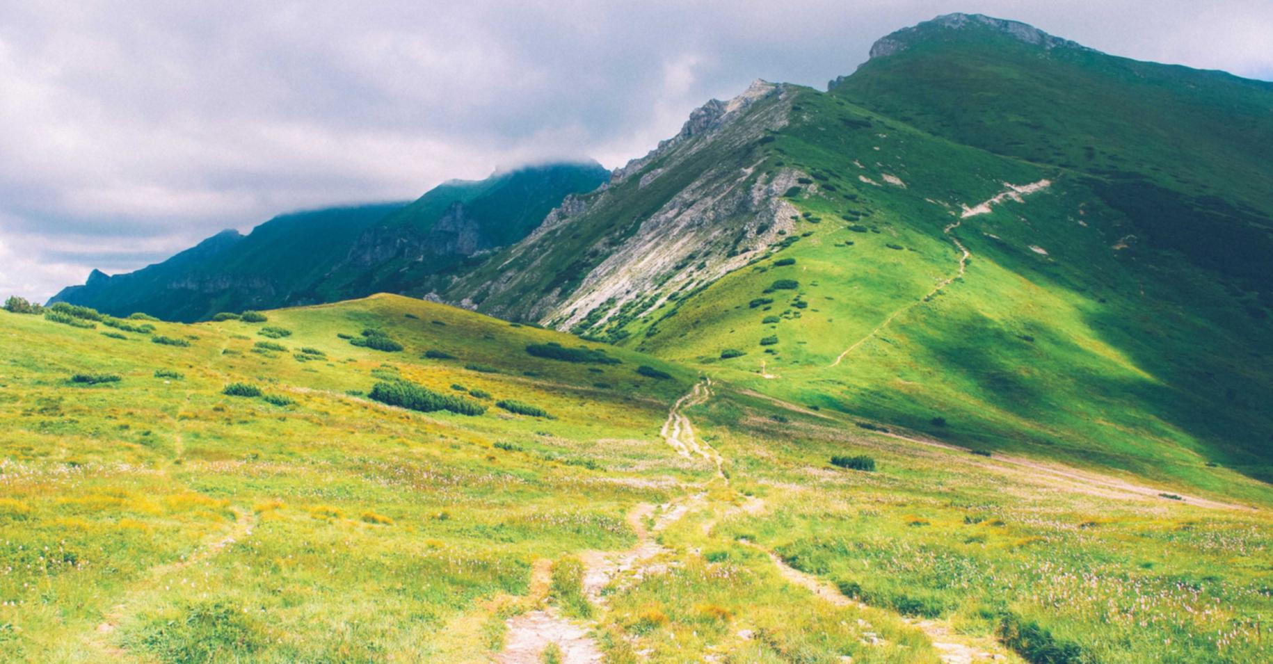 凤凰企业服务平台代理