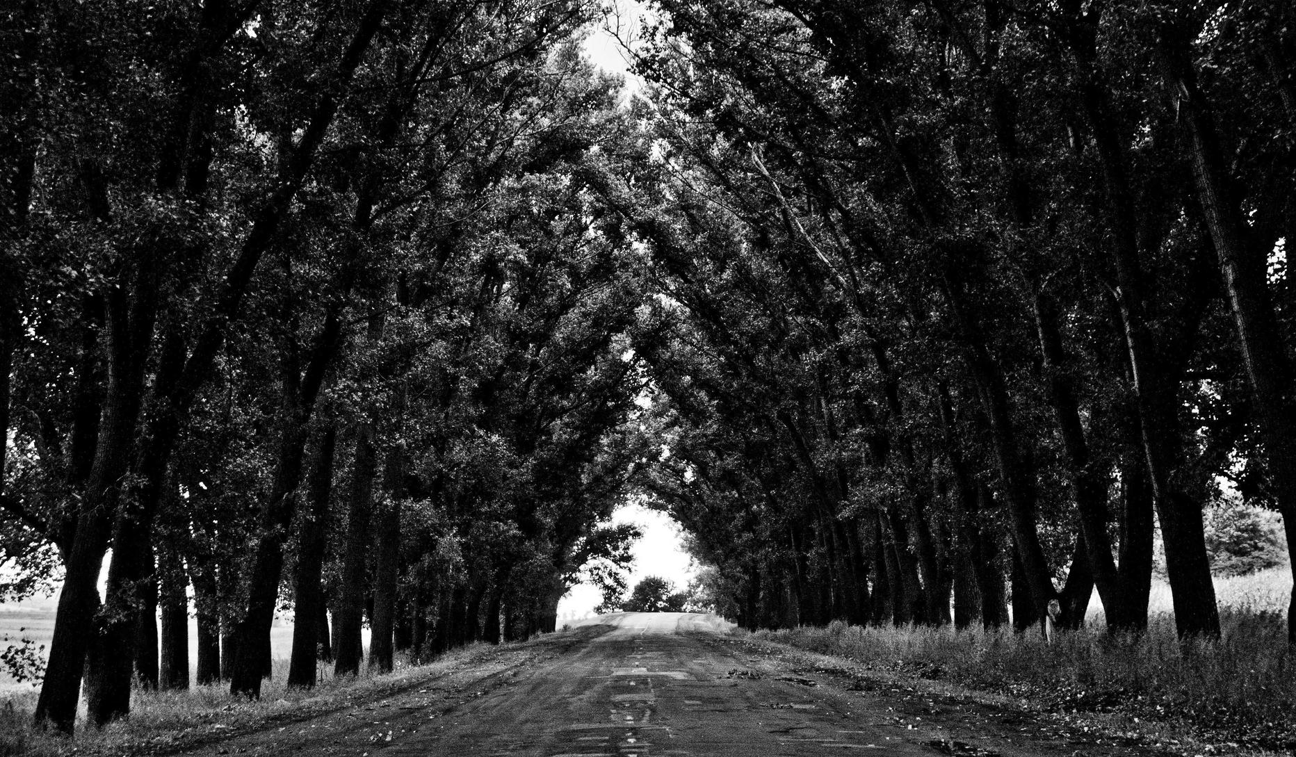 京东云实名账号:星座投票aPP详情下载教程