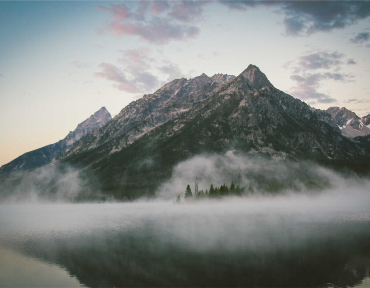 实名物联卡:百分网为什么注册不了账号