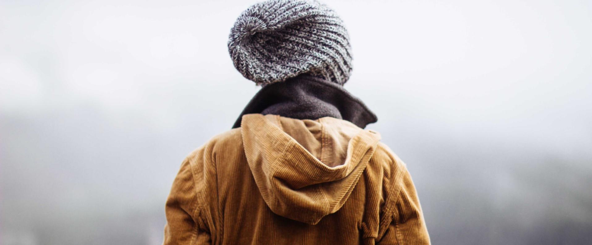 恩佐2政府采购平台代理商查询