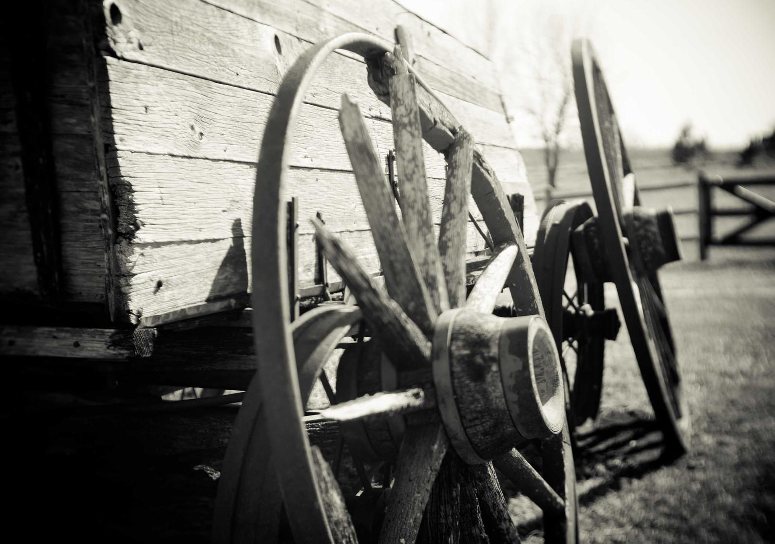 吸烟与记忆和学习的关系