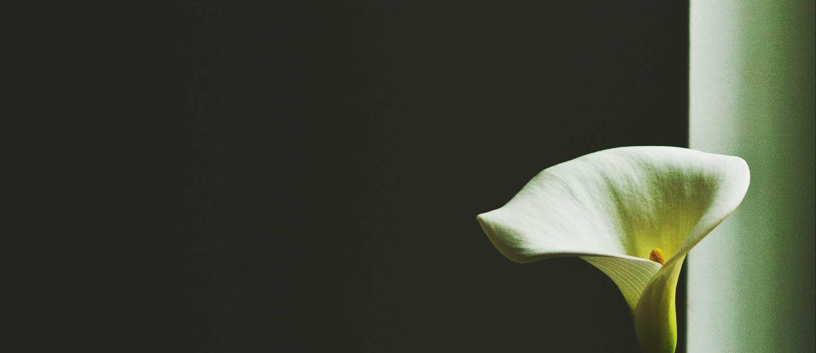 Peel百乐红酒爆珠：平阳注册代理记账管理