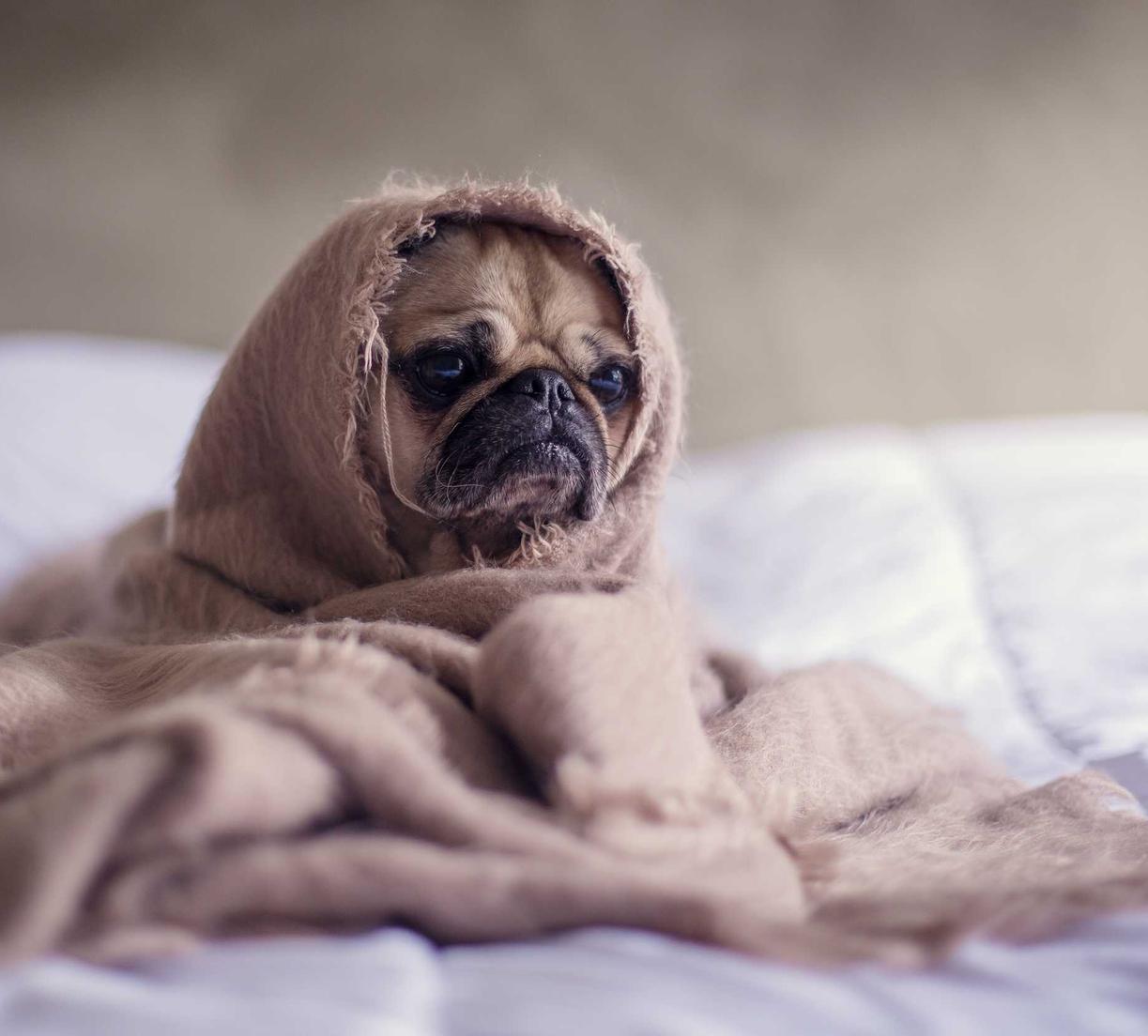 租微信号：代理商注册公司需要开店吗