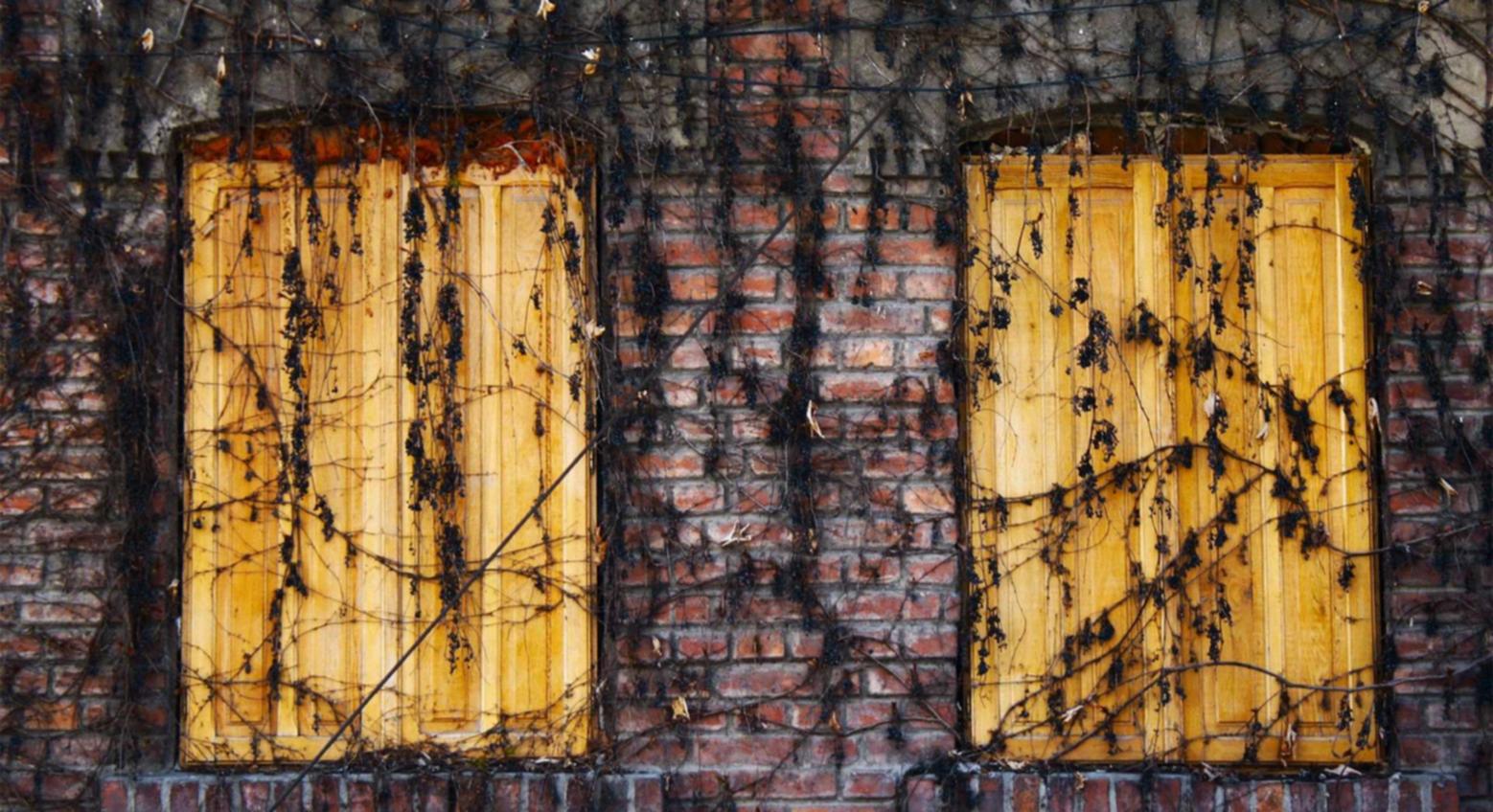 极光实名账号：微信收款小音响购买平台