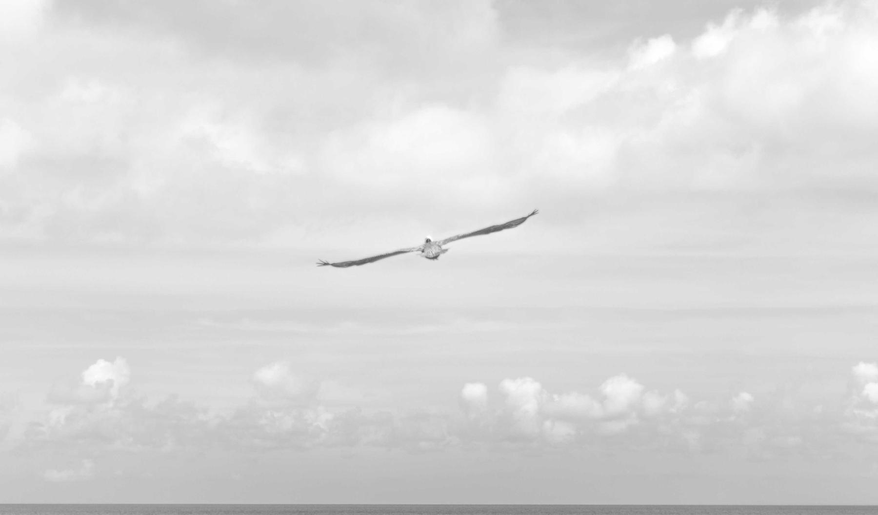 DDOS网页端|e地推app详情下载教程