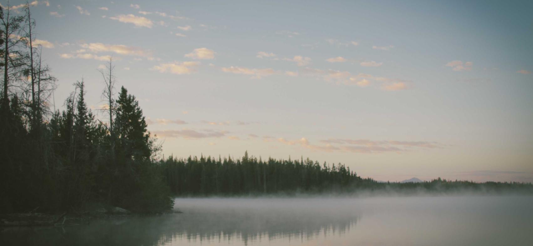 腾越嘉兴企业注册代理的条件