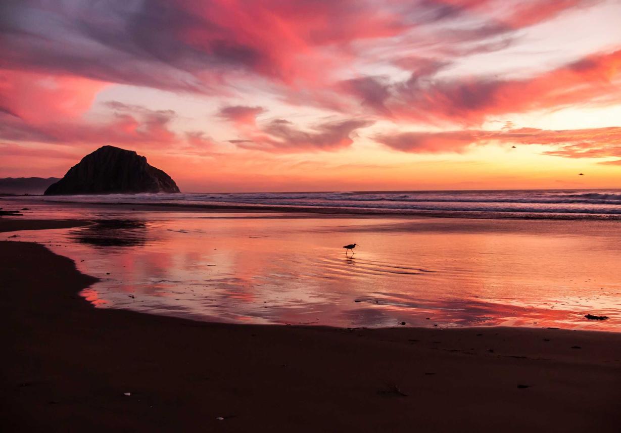 网页在线DDOS压力测试|淄博代理记账注册公司