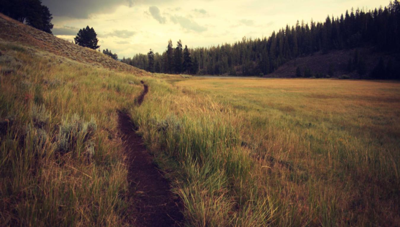 敢达争锋对决:叶罗丽卡牌购买直播平台