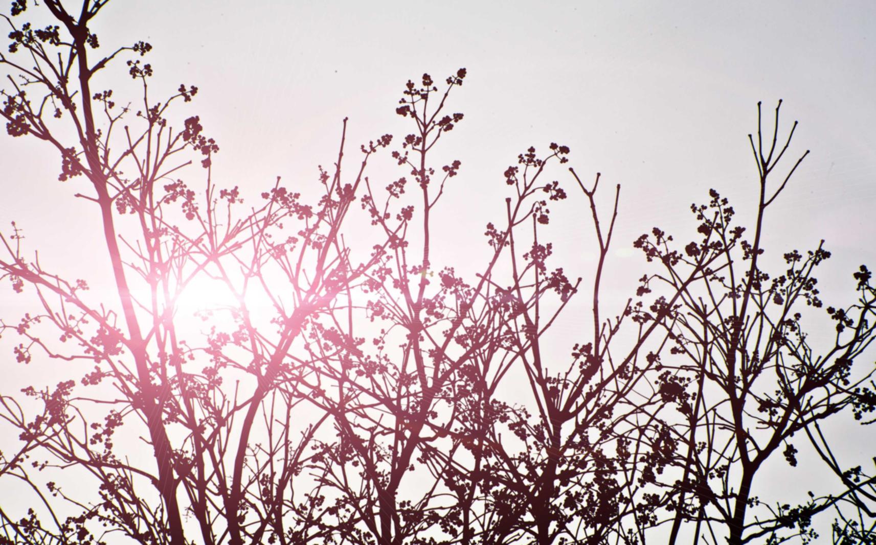 又拍云实名账号:如何注册代理账号