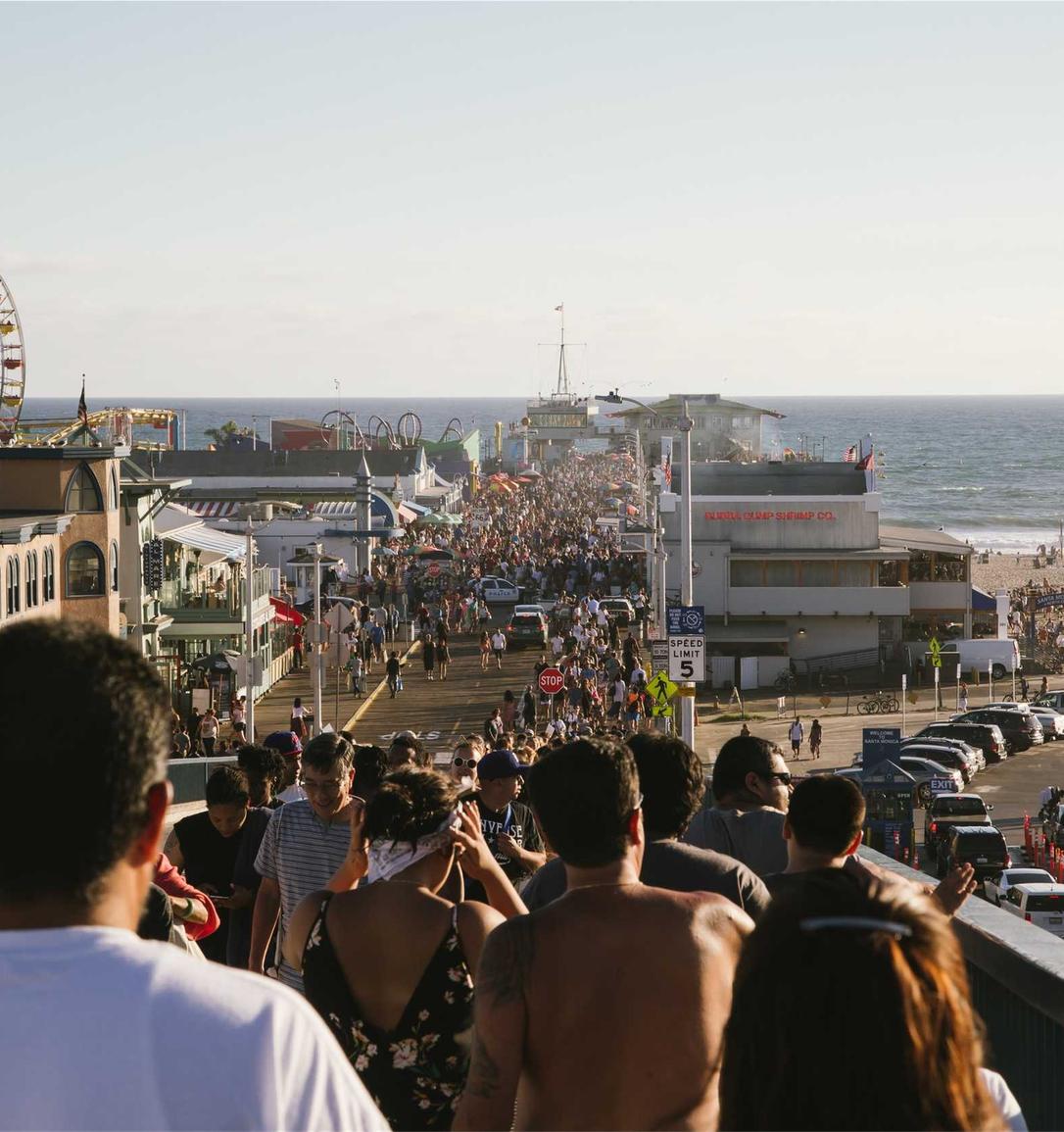 欧盟寿百年(黑寿):购买书的平台