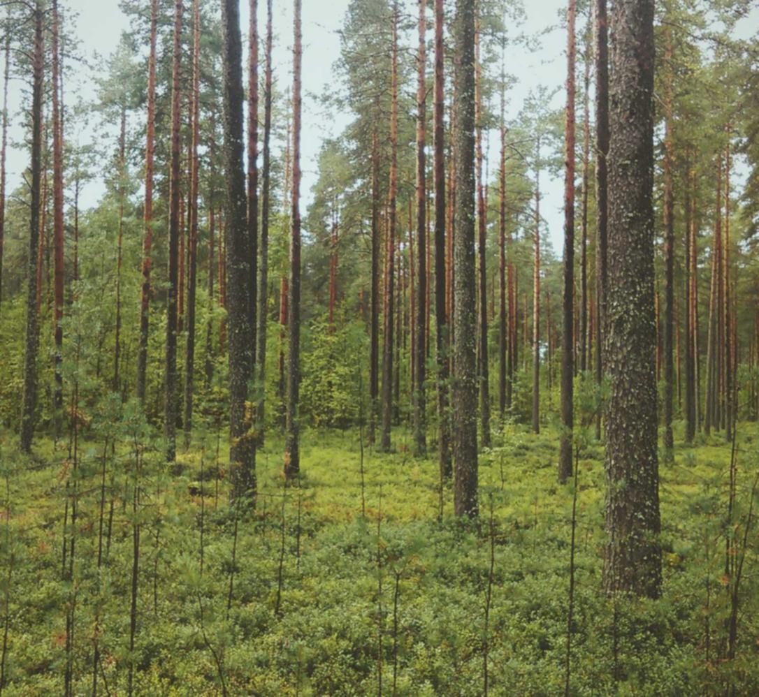 vx号出售:温宿小型财务代理平台