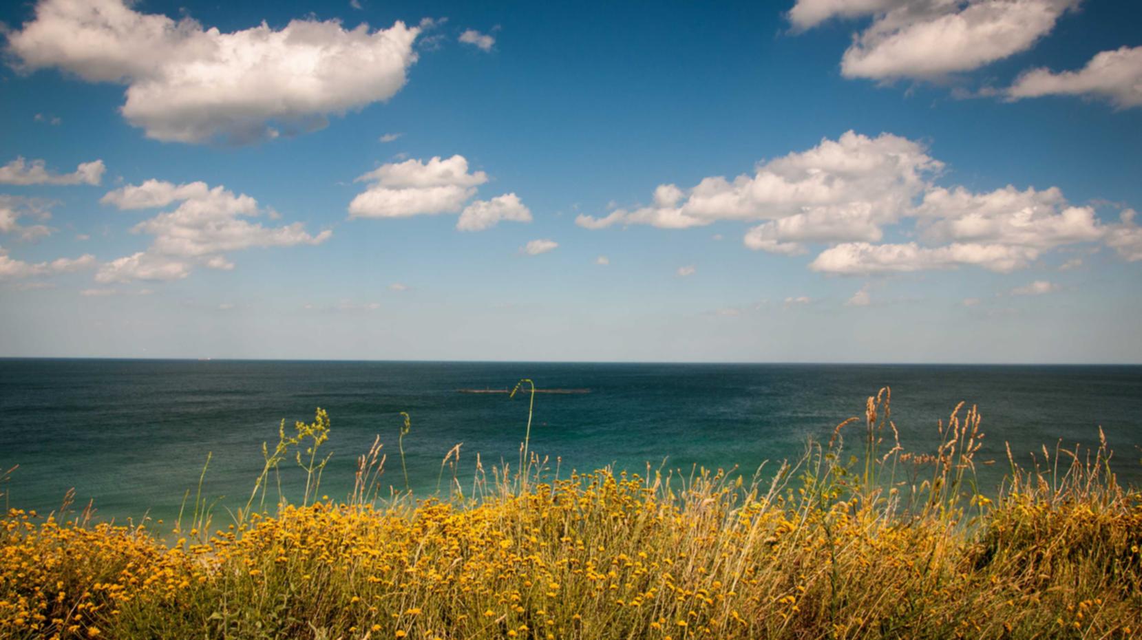 腾讯云实名账号:爱聊平台代理