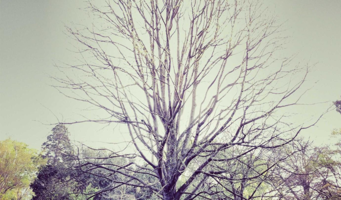 积目实名账号:购买砂石平台