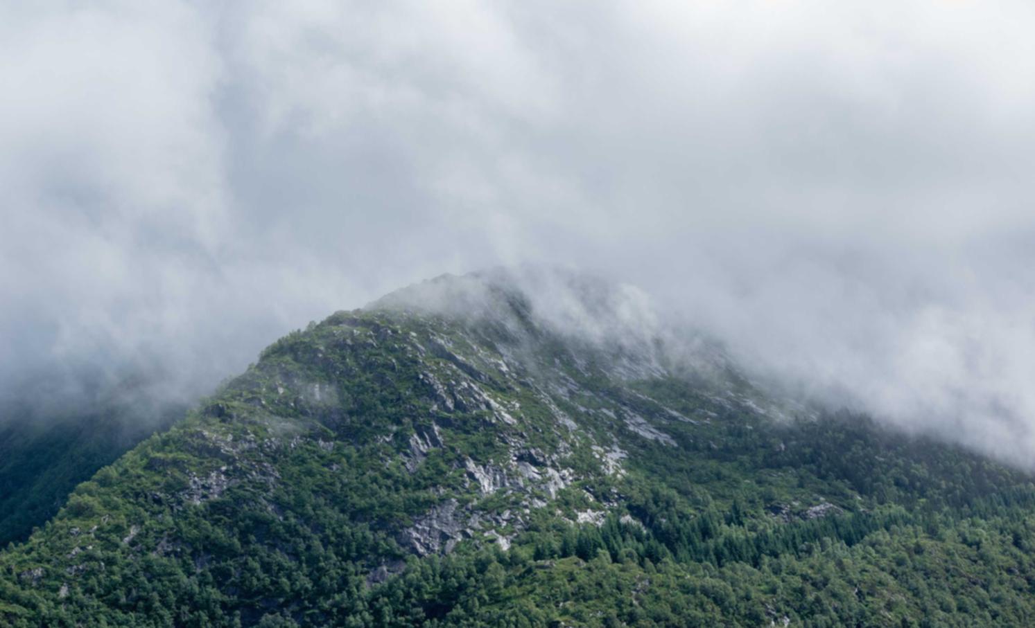仙凡幻想:tt语音涨粉购买平台