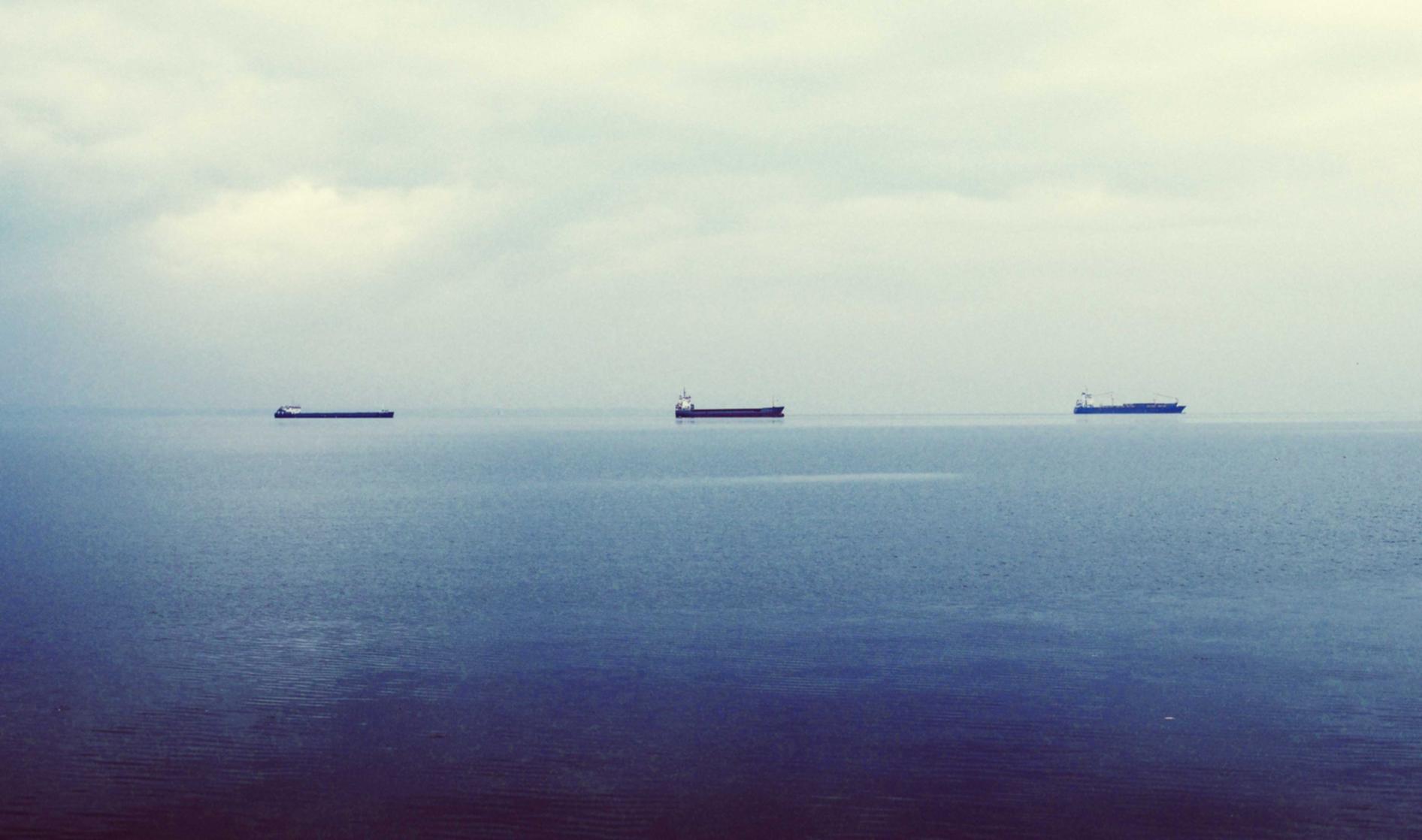 多利详情下载教程声音的app