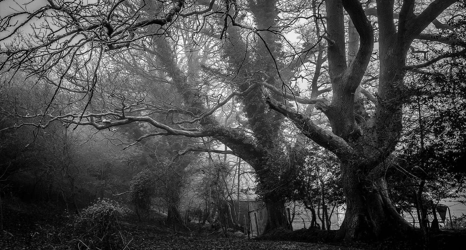 黄MU摇摇柠檬爆珠:返了么App详情下载教程