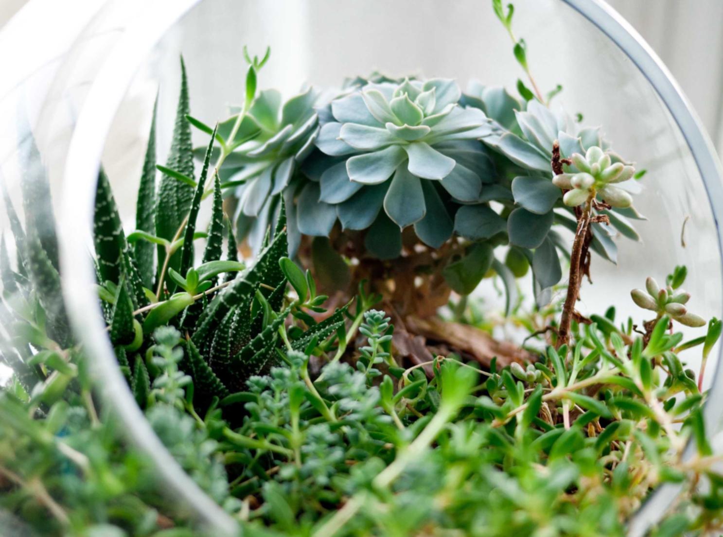 短信和股市：得到股市及时信息