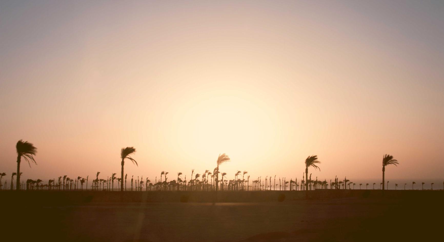 不败传说：地下城游戏详情下载教程app