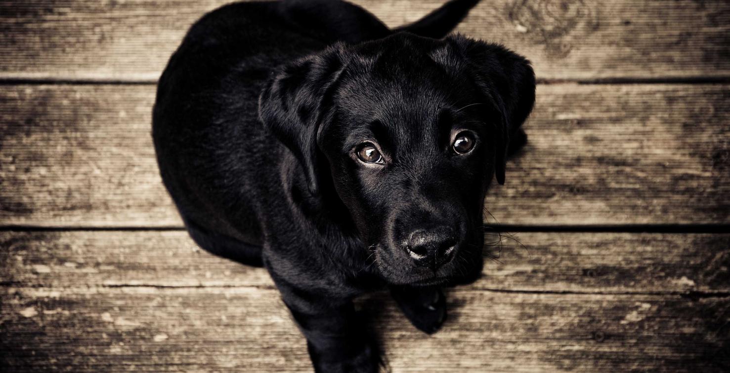 门徒厦门代理公司注册