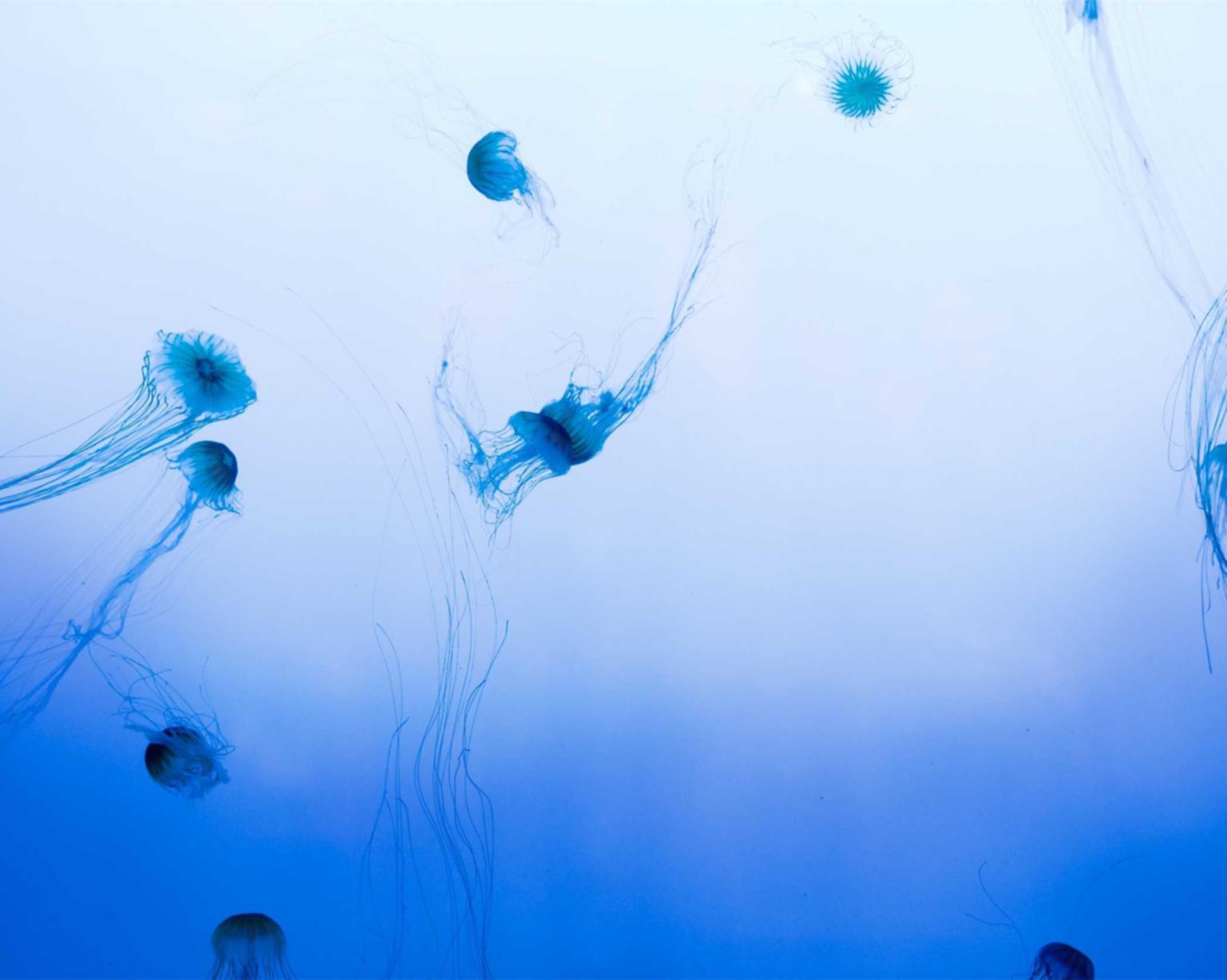 短信营销中如何保障用户隐私？