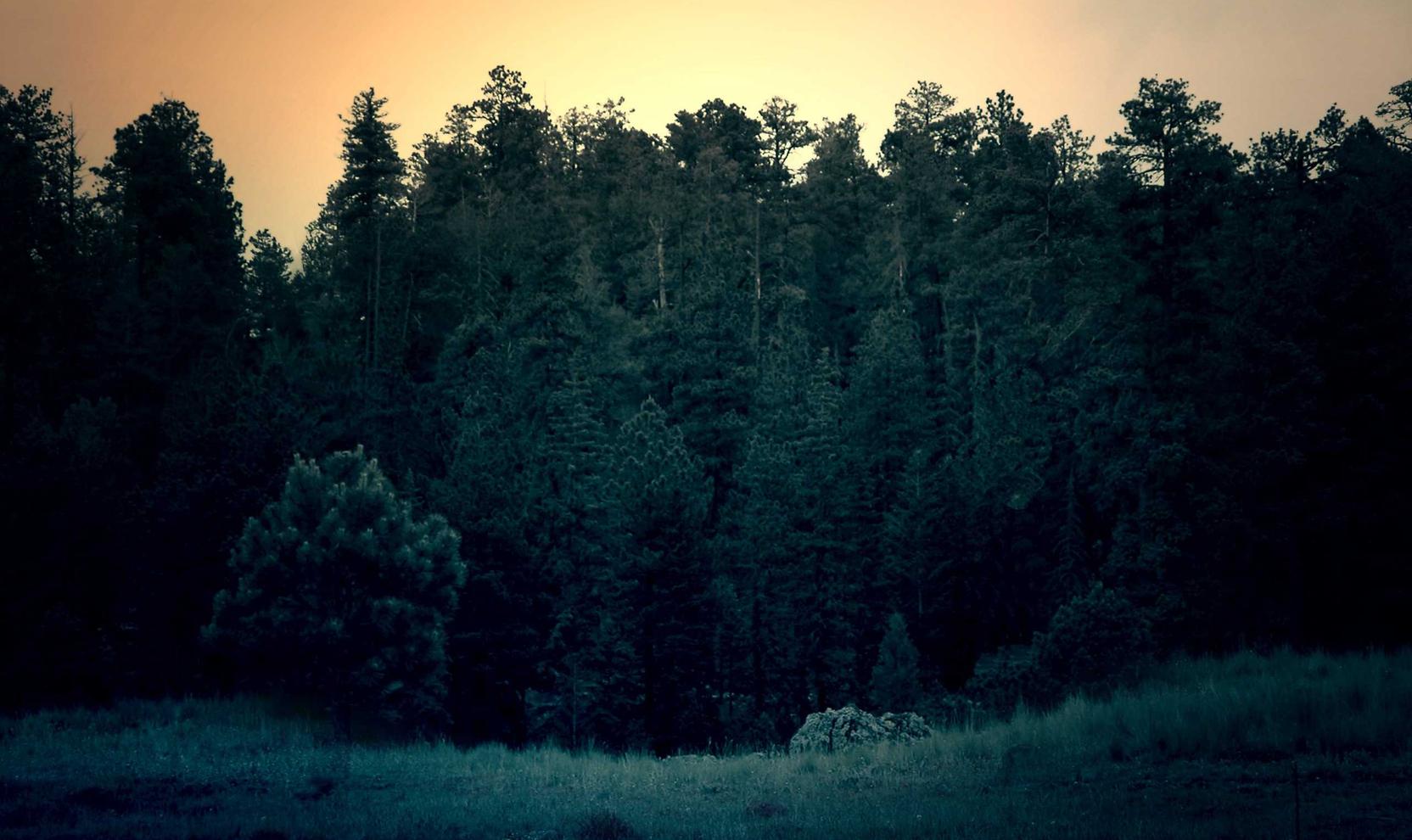 电信卡办理- 阎良区代理记账注册公司