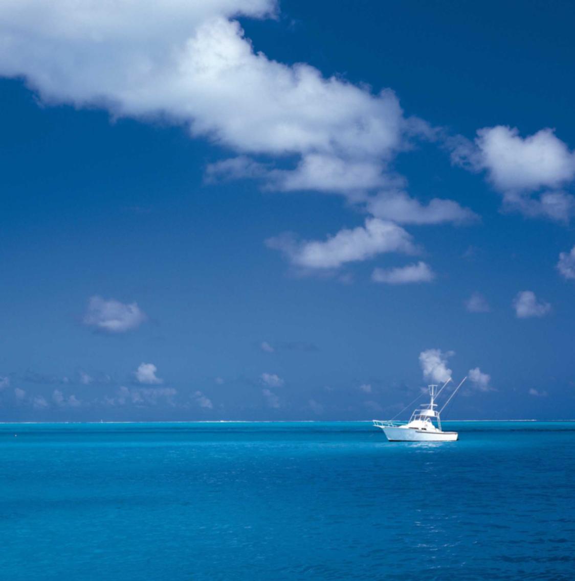 手机卡不用了不注销会有什么后果- 青浦区帮忙注册公司代理