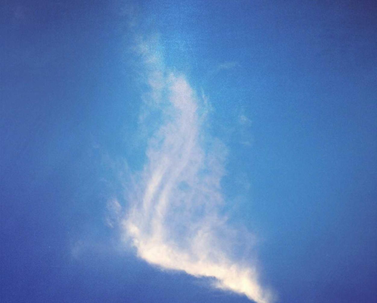 鸣潮：合阳公司注册代理