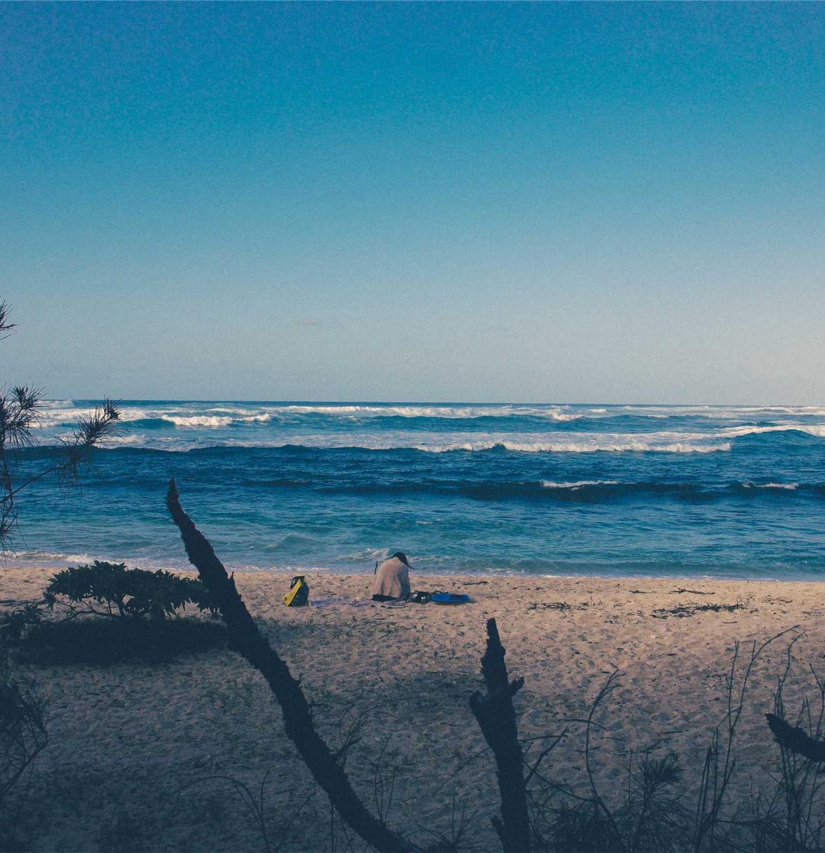 小红书实名账号：阜阳书画购买平台