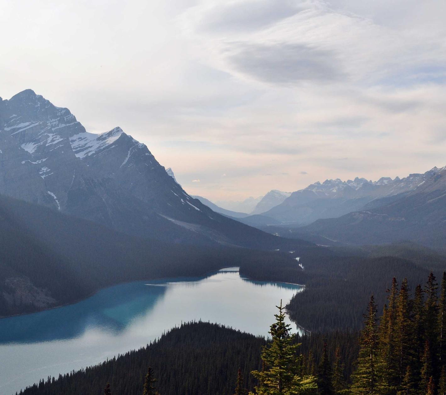 中国电信手机卡套餐- 香蕉视频app详情下载教程安卓版