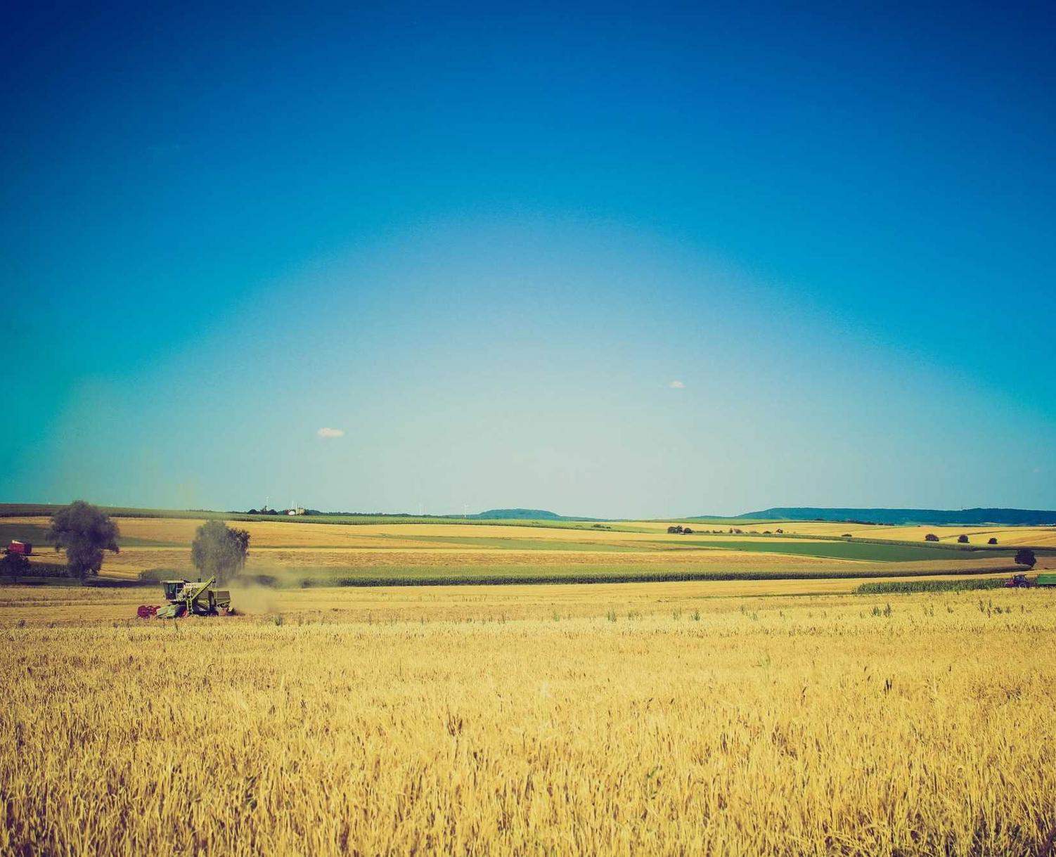 技术支持出现后,游戏公平竞争的基础是否完璧无缺