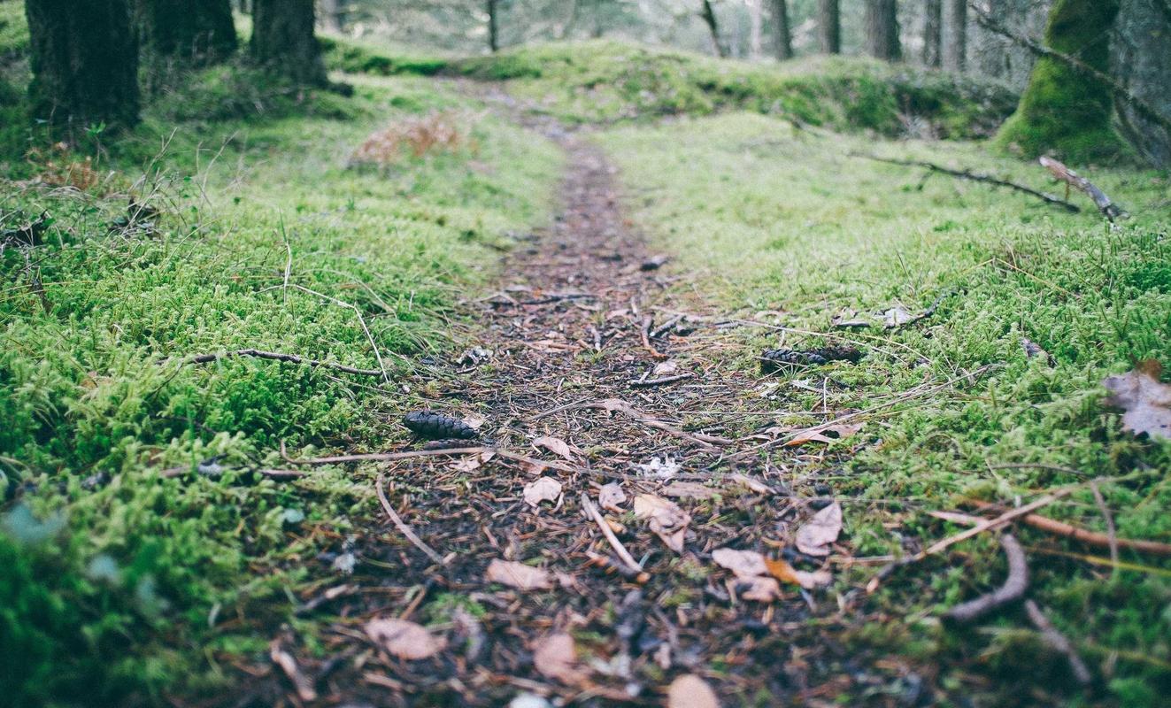 DDOS压力测试|微平台推广代理